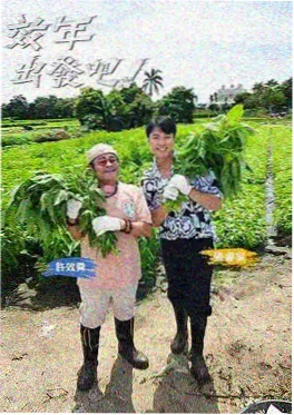 五十公里桃花坞